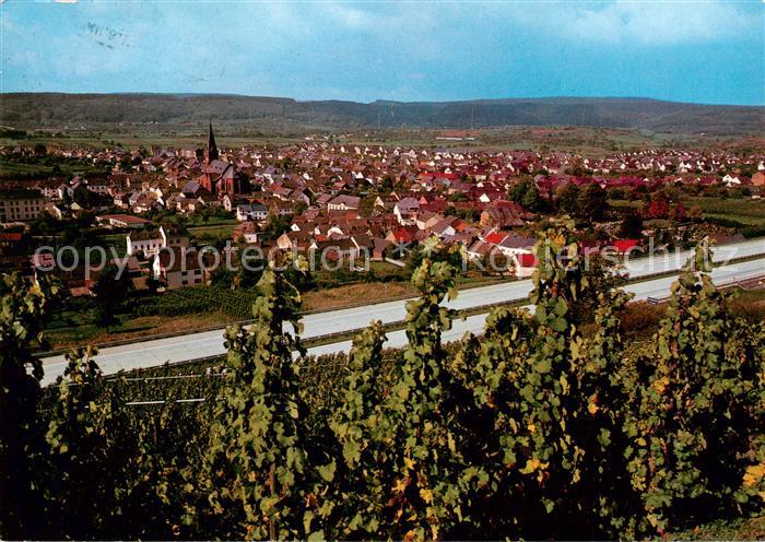 Schweich Mosel Panorama