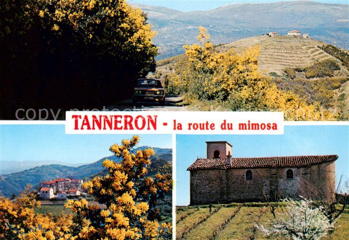 Tanneron 83 Var La route du mimosa