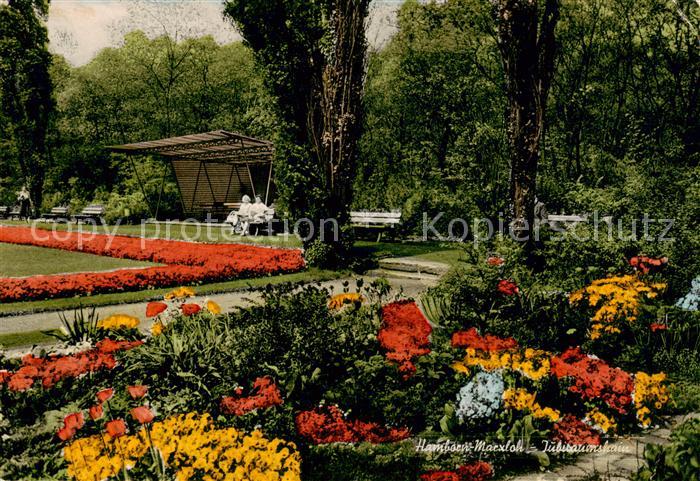 Hamborn Jubilaeumshain