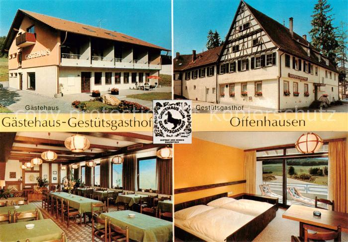 Offenhausen Gomadingen Gaestehaus Gestuetsgasthof Gastraum Zimmer