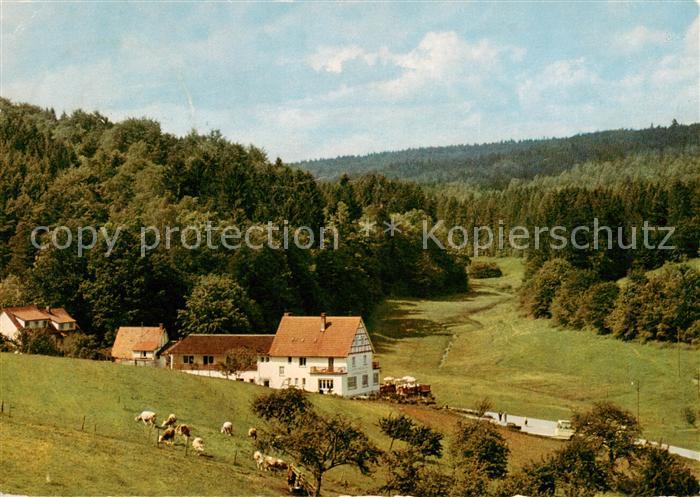 Gras-Ellenbach Blick ins Gassbachtal