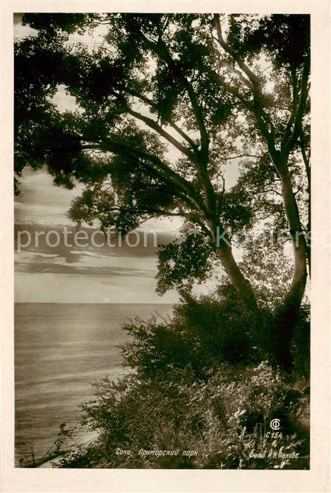 SOTSCHI Sochi RU Primorsky Park