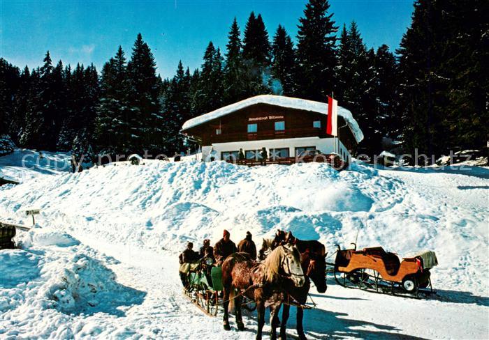 Seefeld Tirol Wildmoos Alm Pferdeschlittenfahrt