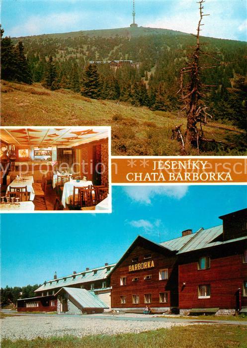 Jeseniky Freiwaldau CZ Chata Barborka Gaststube Panorama