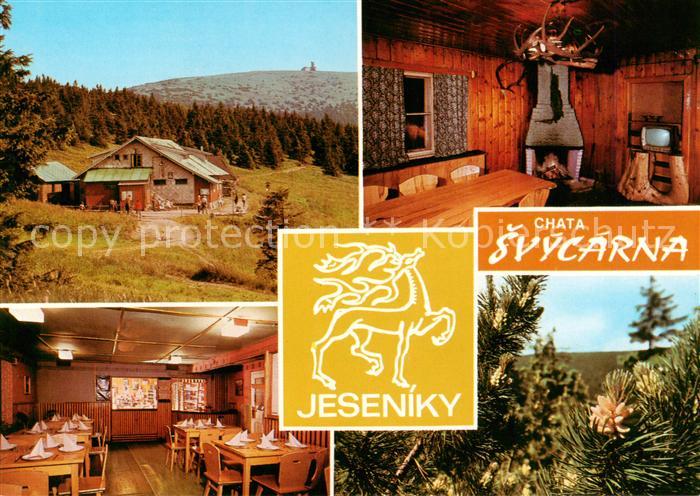 Jeseniky Freiwaldau CZ Chata Svycarna Bergbaude