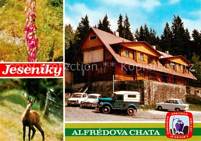 Jeseniky Freiwaldau CZ Alfredova Chata Bergbaude Flora Wild