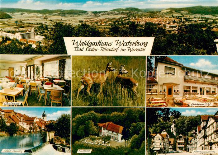 Bad Sooden-Allendorf Waldgasthaus Westerburg Panorama Werratal Wild