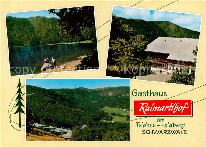 Feldberg 1450m Schwarzwald Feldseepartie Gasthaus Raimartihof Panorama