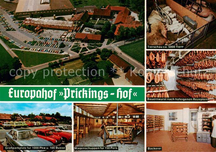 Sythen Haltern Europahof Prickings Hof Fliegeraufnahme Tierschau Bauernwurst Gro