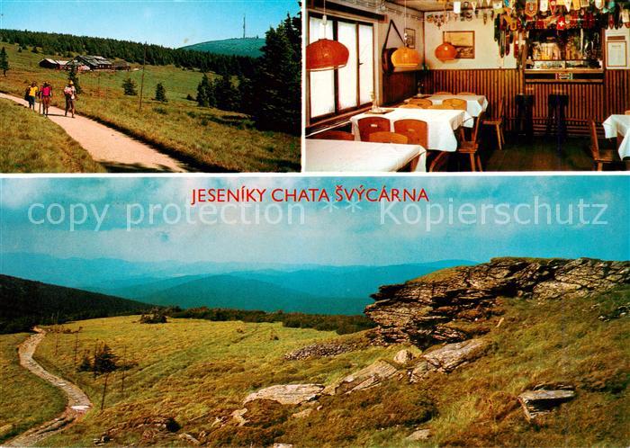 Jeseniky Freiwaldau CZ Chata Svycarna Gaststube Panorama