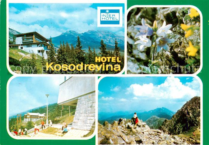 Nizke Tatry Slovakia Hotel Kosodrevina Zvoncek zihlavolisty Medzistanica sedacko