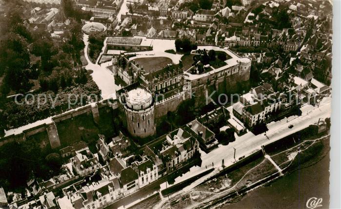 Amboise 37 Vue aerienne sur le Chateau