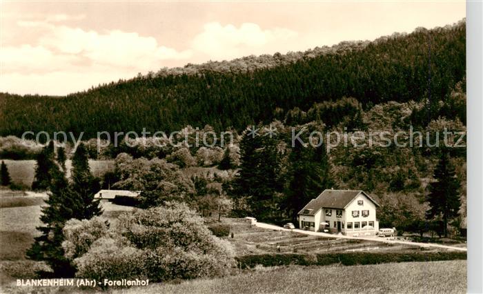 Blankenheim Ahr Forellenhof Zaunegger