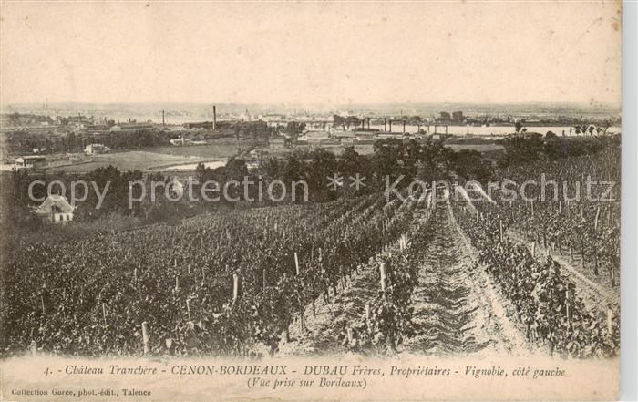 Cenon Bordeaux 33 Gironde Chateau Tranchere Dubau Freres Proprietaires Vignoble
