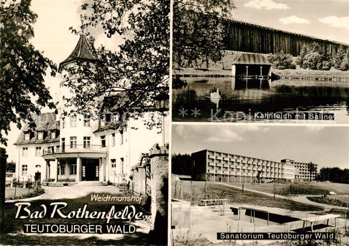 Bad Rothenfelde Weidtmannshof Kahnteich mit Saline Sanatorium Teutoburger Wald