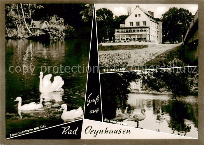 Bad Oeynhausen Schwanenheim am Siel Sielterrassen Am Sielweiher