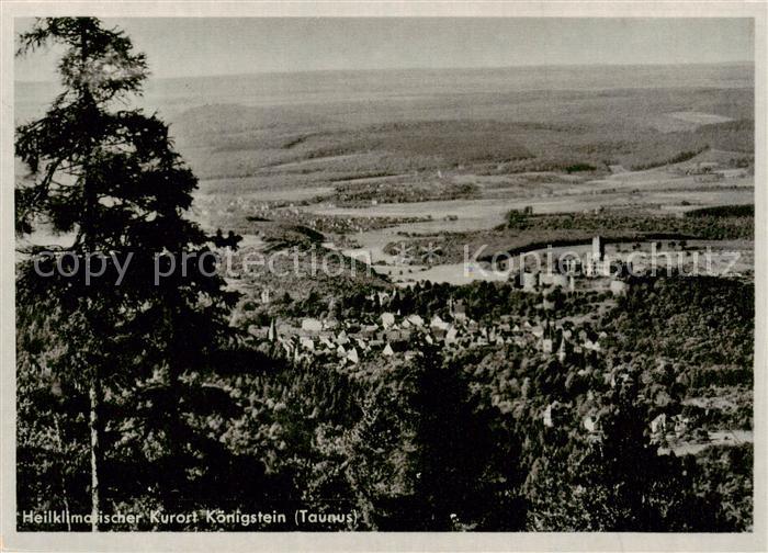 Koenigstein  Taunus Panorama