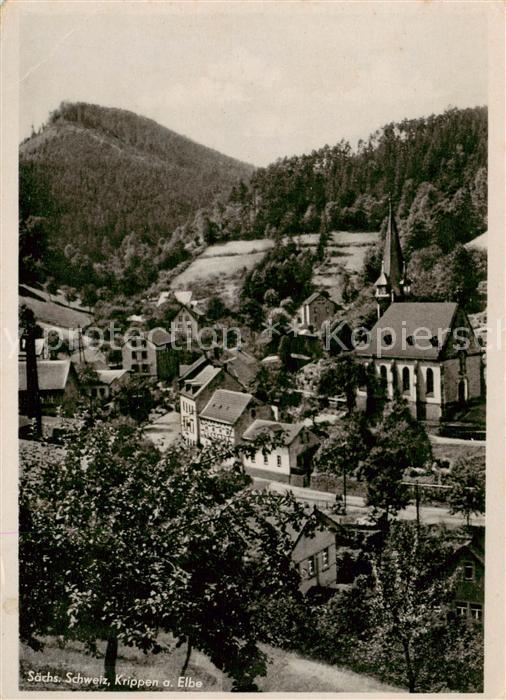 Krippen Bad Schandau Ortsansicht