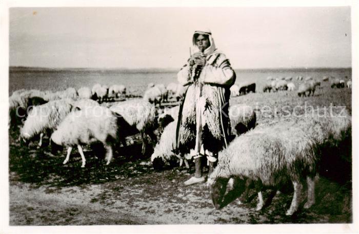 Schaeferei Sheperding Bergerie Jordanien