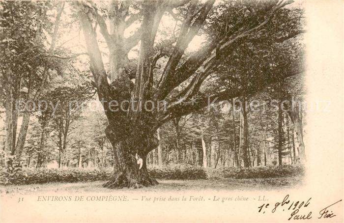 Baeume Trees Arbres Arboles Environs de compiegne le gros chêne