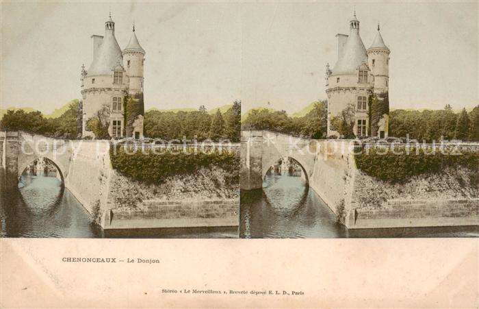 Chenonceaux 37 Indre et Loire Le Donjon