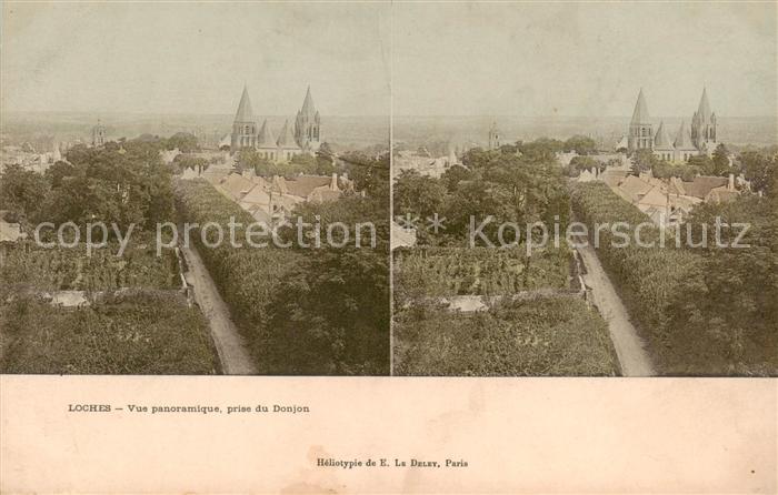Loches 37 Indre-et-Loire Vue panoramique prise du Donjon