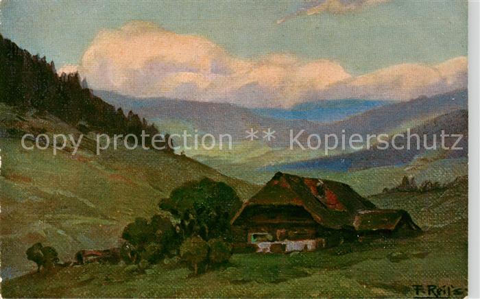 Reiss Fritz Nr. 5 Sommer im Schwarzwald