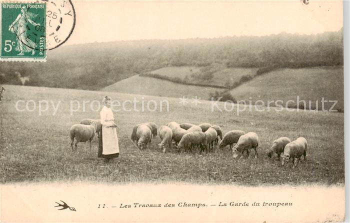 Schafe Les travaux des champs. La garde du troupeau