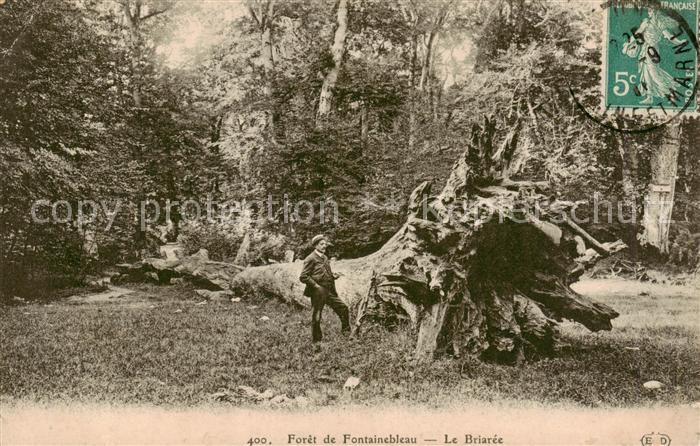 Foto ELD Nr. 400 Forêt de Fontainebleau Le Briarée