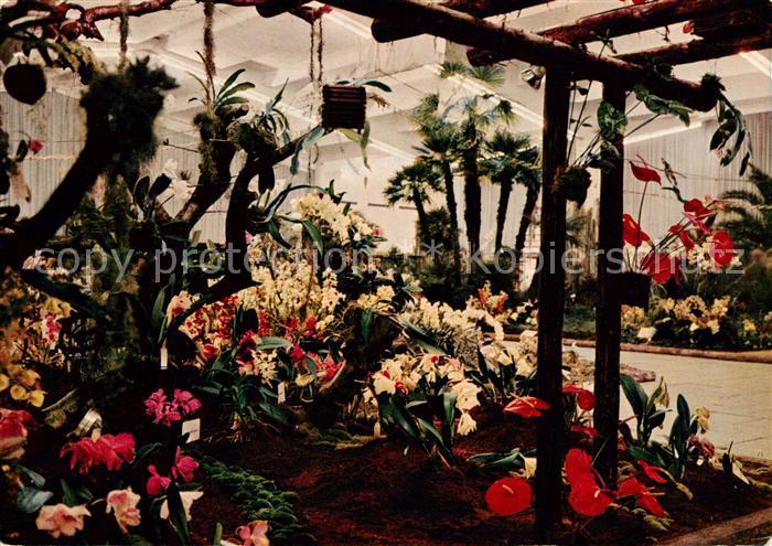 Gartenbauaustellung Hamburg 1963