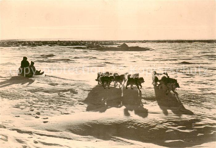 Schlitten Bobsleigh Traineaux Schlittenhunde