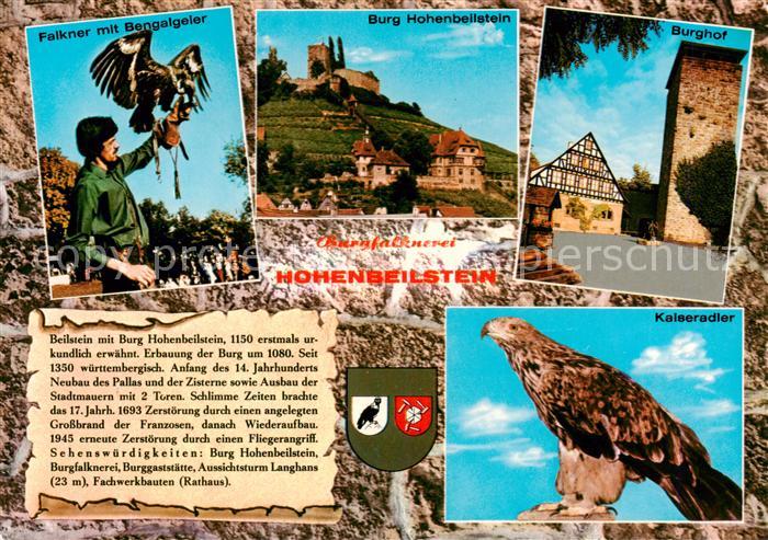 Chronik-AK Hohenbeilstein Burgfalknerei