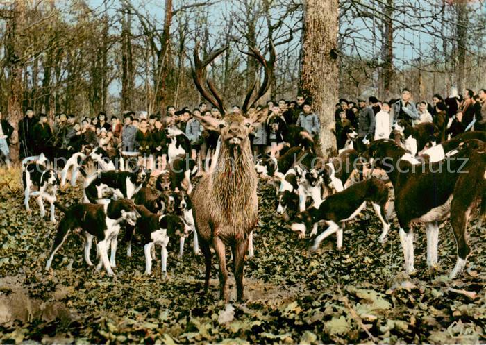 Jagd Chasse Hunting Chasse a Courre