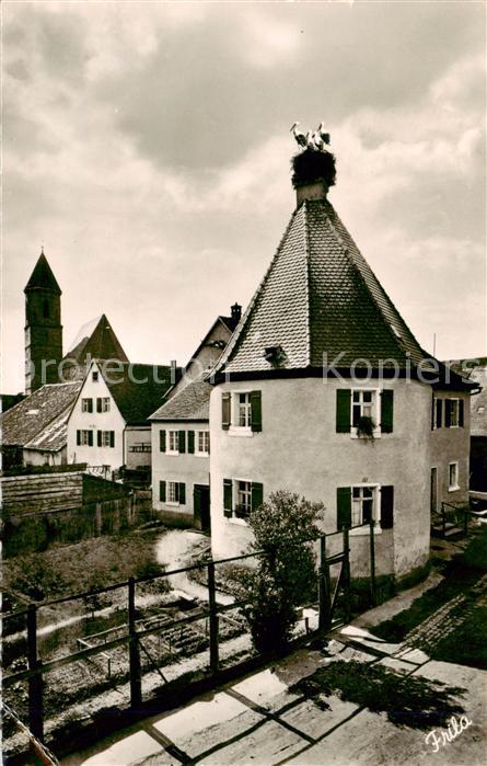 Gunzenhausen Altmuehlsee Storchennest