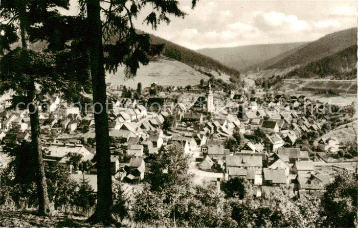 Lautenthal Harz Blick vom kleinen Bromberg