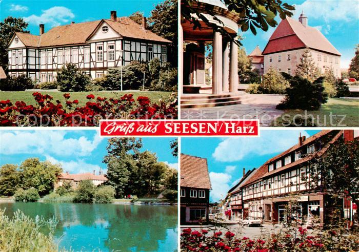 Seesen Harz Fachwerkhaeuser Teich Park