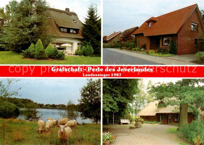 Grafschaft Friesland Friesenhaeuser Schafherde Park