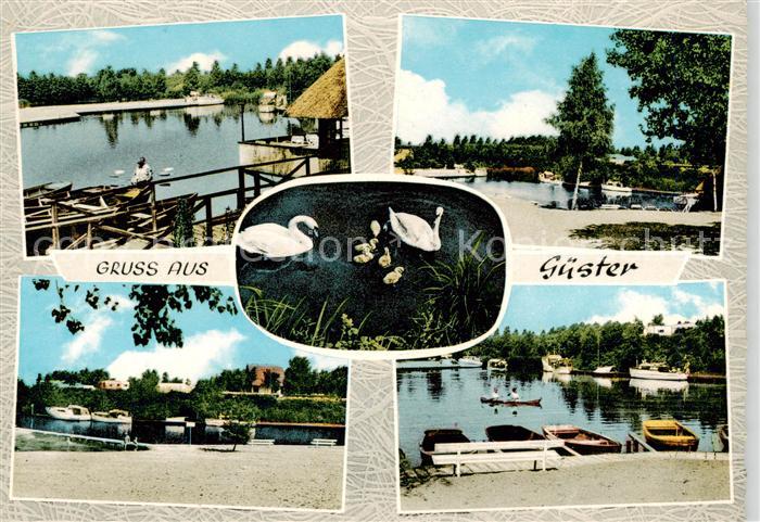 Guester Hafenpartien Schwanenteich