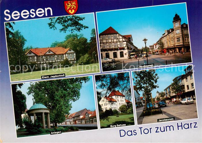 Seesen Harz Ehem Jagdschloss Jacobsonstrasse Anlagen Burg Sehusa