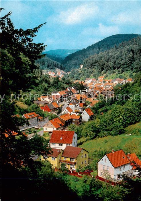 Zorge Panorama OT Mittelzorge