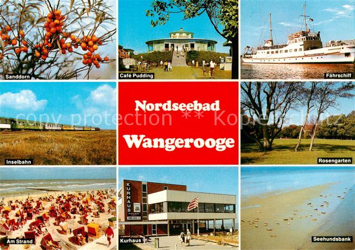 Wangeroog Wangerooge Nordseebad Sanddorn Cafe Pudding Faehrschiff Inselbahn Rose