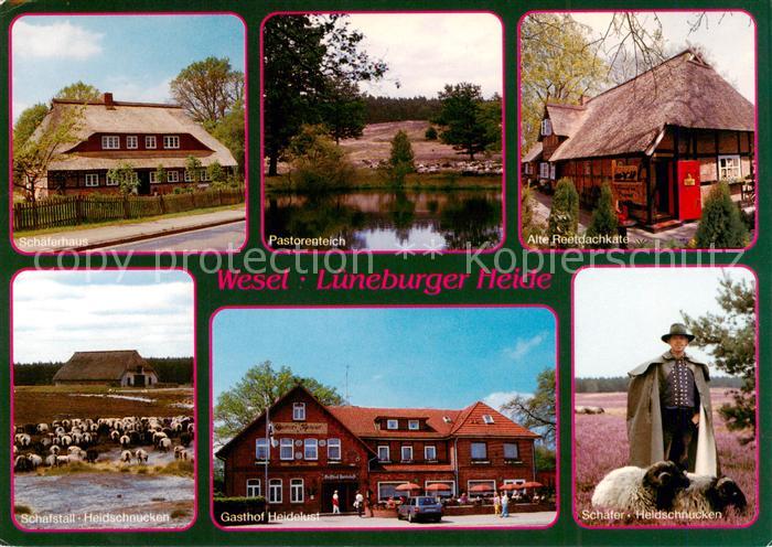 Wesel Nordheide Schaeferhaus Pastorenteich Alte Reetdachkate Schafstall Heidschn