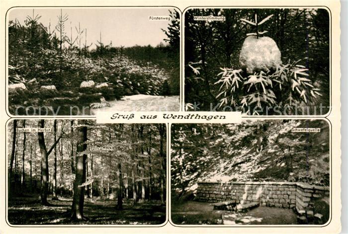 Wendthagen-Ehlen Fuerstenweg Winteridyll Waldpartie Schwefelquelle