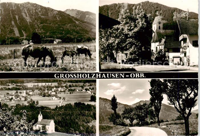 Grossholzhausen Pferdekoppel Kirchen Strasse