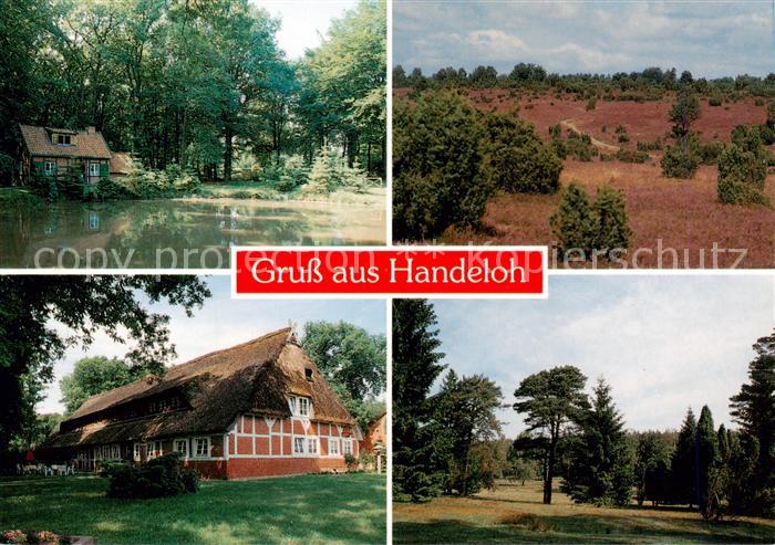 Handeloh Heidelandschaften Teilansichten