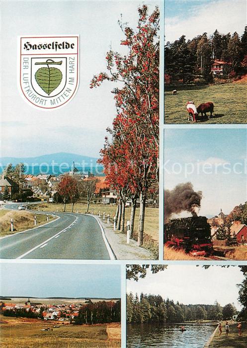 Hasselfelde Ortsansichten Selketalbahn Badeanstalt