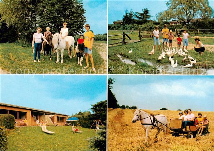 Wessenstedt Ferienhaeuser auf dem Heerweghof Reiten Ententeich Pferdekutsche