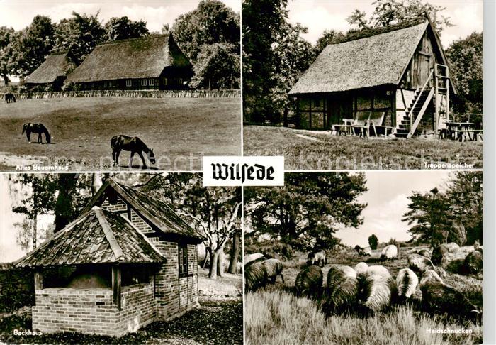 Wilsede Lueneburger Heide Altes Bauernhaus Treppenspeicher Backhaus Heidschnucke