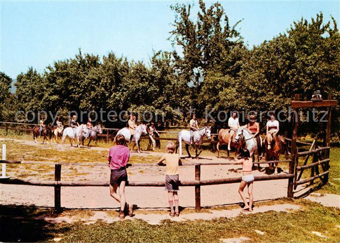 Rinteln Weser Niedersachsen Ponyhof Gerda Schulze