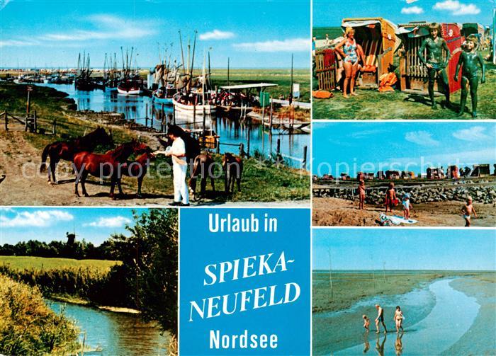 Spieka-Neufeld Fischkuter Strandpartien Wattwandern